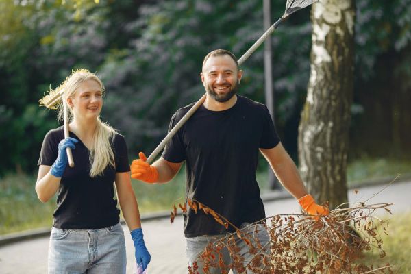 Joey's Lawn and Yard Care - Fictional