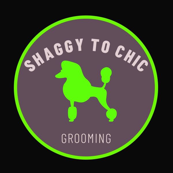 Shaggy to Chic Grooming